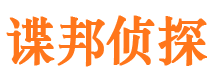 龙门市调查公司